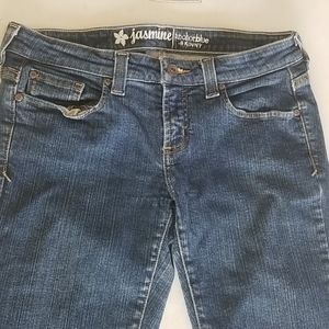 Anchor Blue Jasmine Skinny Jeans